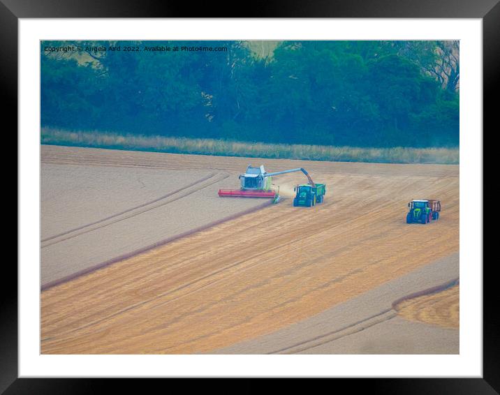  Harvest. Framed Mounted Print by Angela Aird