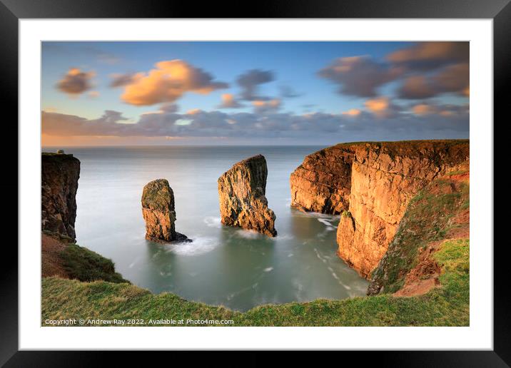 Early morning at Elegug Sea Stacks  Framed Mounted Print by Andrew Ray