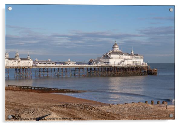 Eastbourne Pier late evening light Acrylic by Sally Wallis