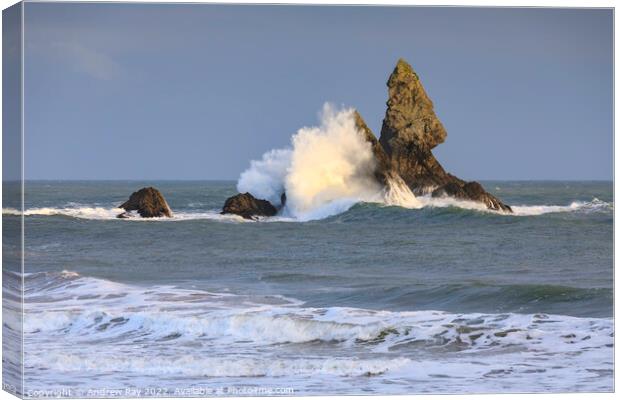 Breaking wave (Broad Haven)  Canvas Print by Andrew Ray