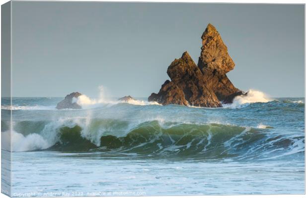 Incoming wave (Broad Haven South)  Canvas Print by Andrew Ray