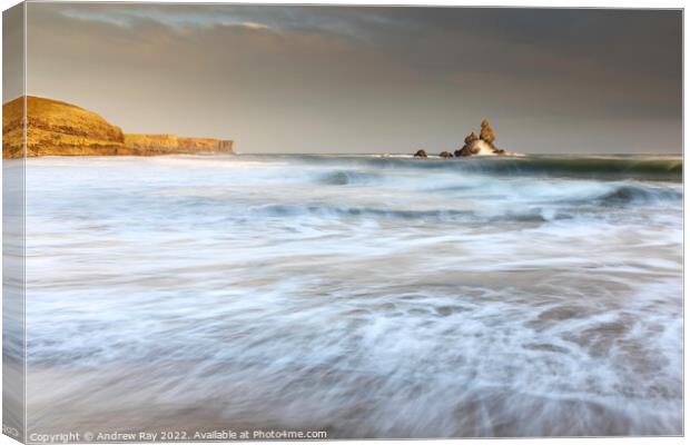 Evening at Broad Haven  Canvas Print by Andrew Ray