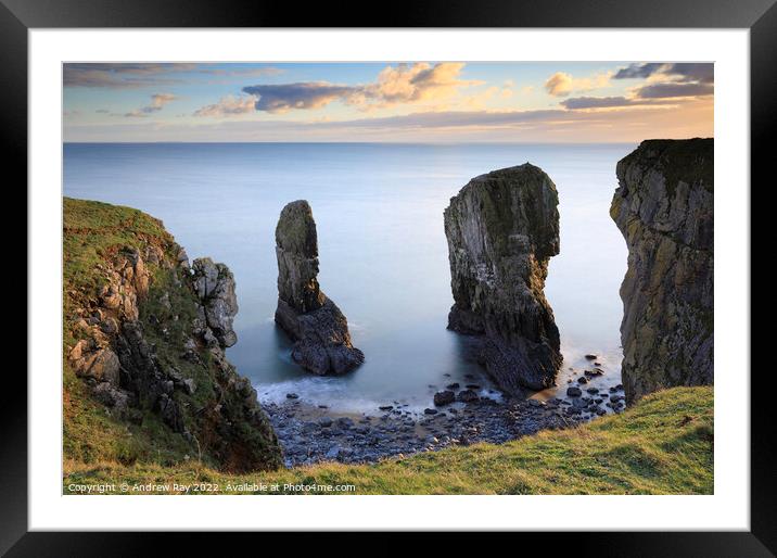 Elegug stacks Framed Mounted Print by Andrew Ray