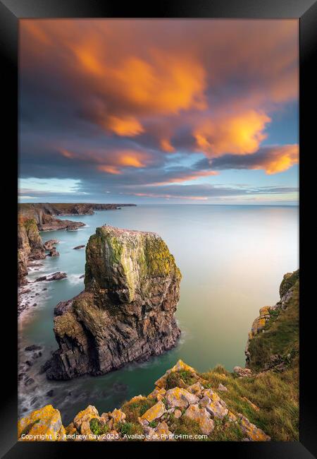 Sea stack at sunset (Castlemartin) Framed Print by Andrew Ray