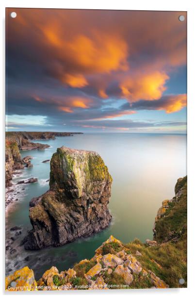 Sea stack at sunset (Castlemartin) Acrylic by Andrew Ray