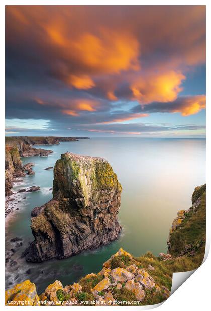 Sea stack at sunset (Castlemartin) Print by Andrew Ray