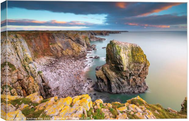Sea stack at Castlemartin Canvas Print by Andrew Ray