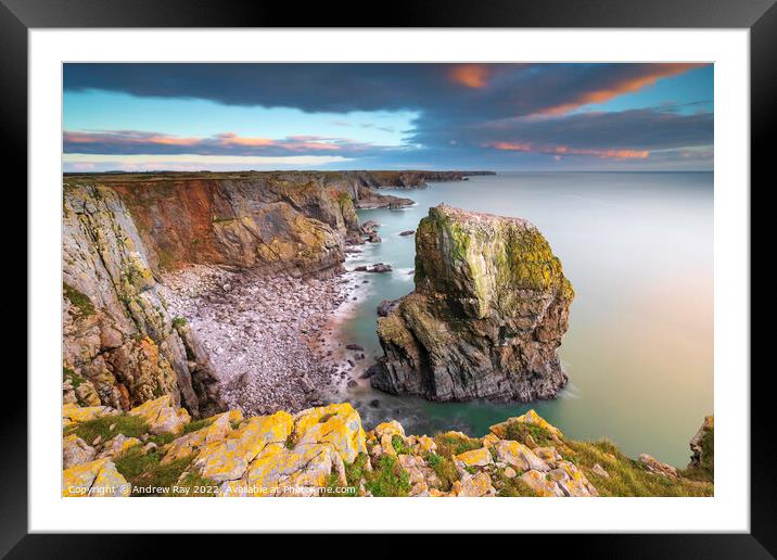 Sea stack at Castlemartin Framed Mounted Print by Andrew Ray