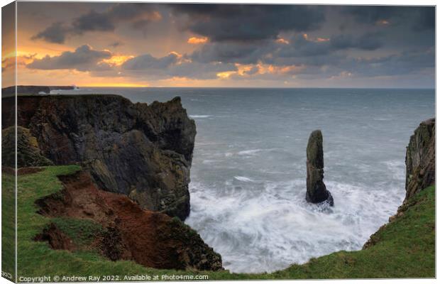 Sea stack at sunrise (Castlemartin)  Canvas Print by Andrew Ray