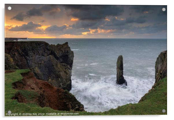 Sea stack at sunrise (Castlemartin)  Acrylic by Andrew Ray