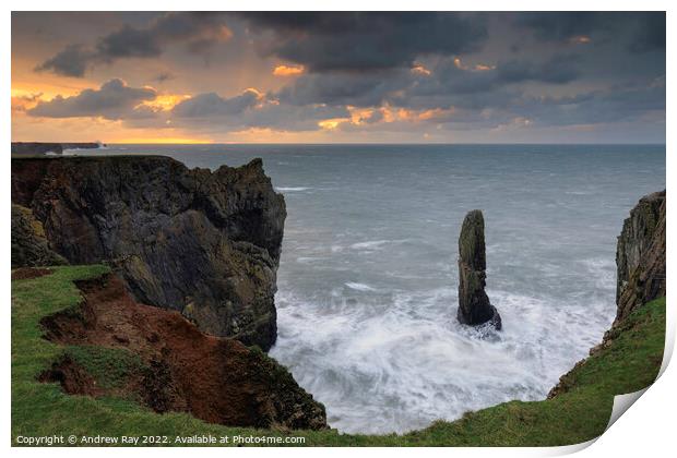 Sea stack at sunrise (Castlemartin)  Print by Andrew Ray