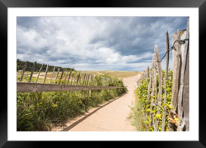 Path to Holkham beach Framed Mounted Print by Jason Wells