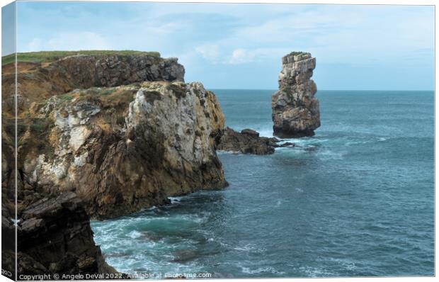 Papoa cliffs and sea in Peniche Canvas Print by Angelo DeVal
