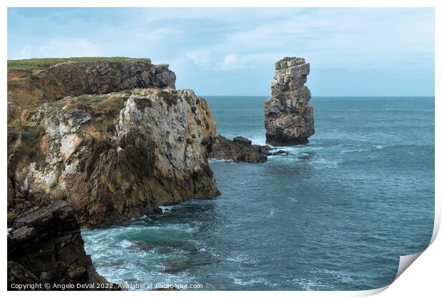 Papoa cliffs and sea in Peniche Print by Angelo DeVal