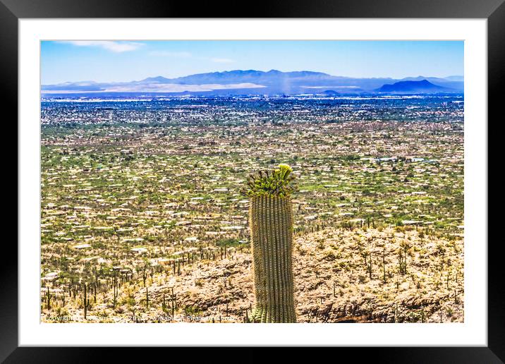 Mount Lemon View Saguaro Blooming Cactus Houses Tucson Arizona Framed Mounted Print by William Perry