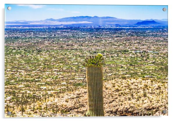Mount Lemon View Saguaro Blooming Cactus Houses Tucson Arizona Acrylic by William Perry