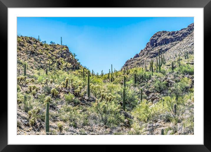 Mountains Cactus Sonoran Desert Saguaro National Park Tucson Ari Framed Mounted Print by William Perry