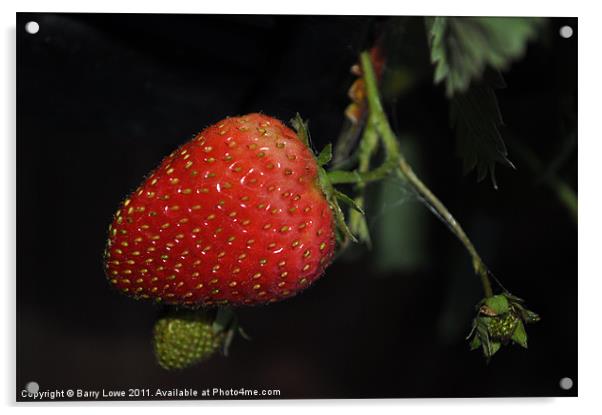 Strawberry at night Acrylic by Barry Lowe