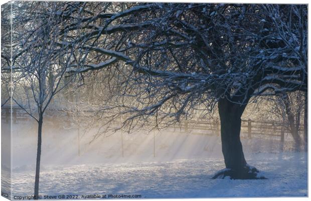 Sunrays on a Snowy  Misty Morning. Canvas Print by Steve Gill