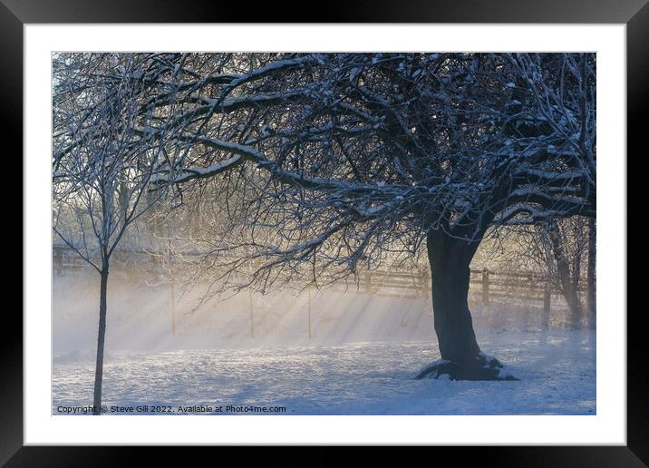 Sunrays on a Snowy  Misty Morning. Framed Mounted Print by Steve Gill