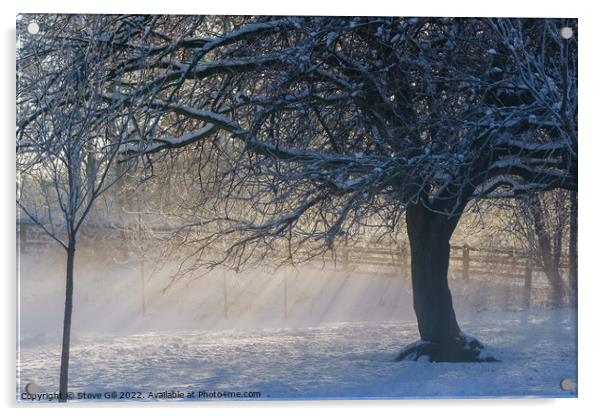 Sunrays on a Snowy  Misty Morning. Acrylic by Steve Gill