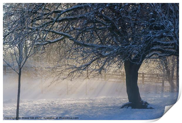 Sunrays on a Snowy  Misty Morning. Print by Steve Gill