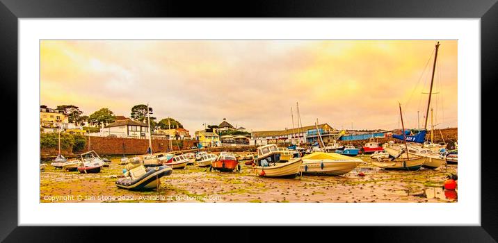 Paignton Harbour, (panorama) Framed Mounted Print by Ian Stone