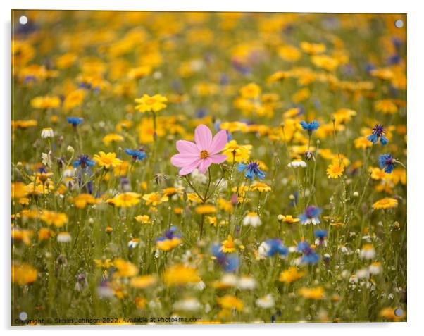 Meadow flowers  Acrylic by Simon Johnson
