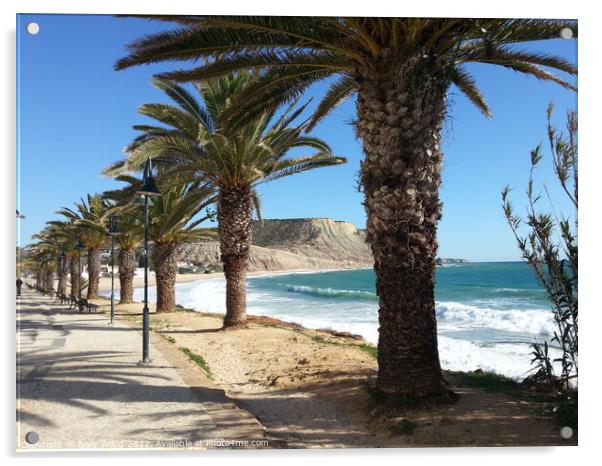 Palm tree walkway along Praia de Luz in Algarve Portugal Acrylic by Gary Wood