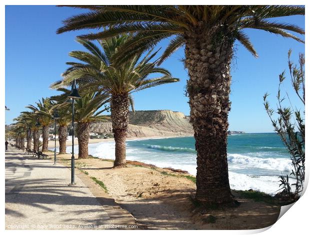 Palm tree walkway along Praia de Luz in Algarve Portugal Print by Gary Wood