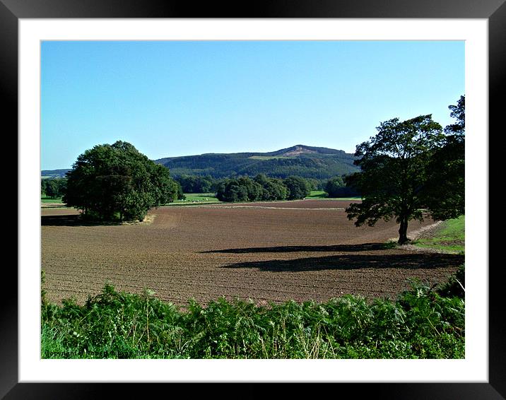 Yorkshire scene from Guisborough Framed Mounted Print by Robert Gipson