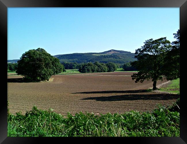 Yorkshire scene from Guisborough Framed Print by Robert Gipson