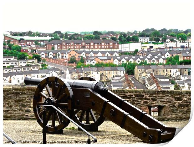 Cannon overlooking Bogside Print by Stephanie Moore