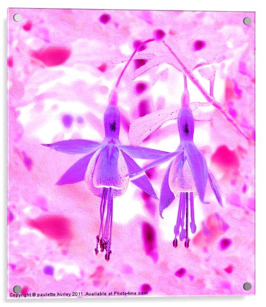 Two Purple + Pink Fuchsia,s Embossed. Acrylic by paulette hurley