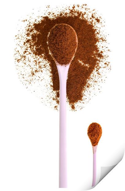 Cinnamon Ground Powder Print by Antonio Ribeiro