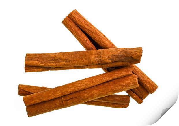 Cinnamon Sticks Isolated on White Background Print by Antonio Ribeiro