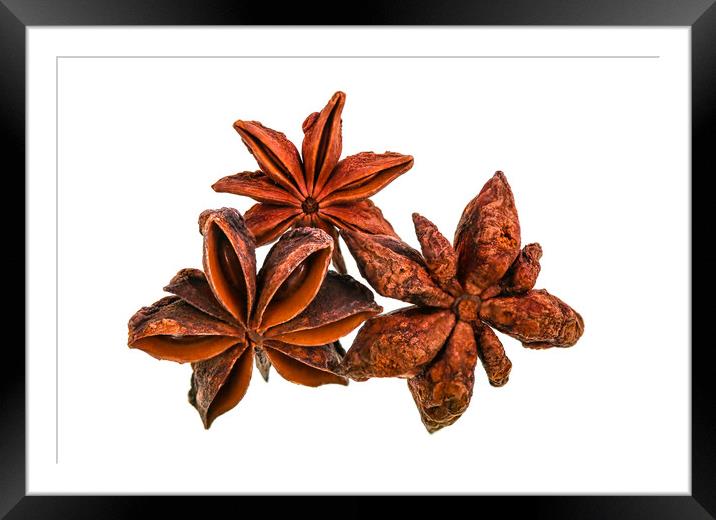 Star Anise Isolated on White Background Framed Mounted Print by Antonio Ribeiro