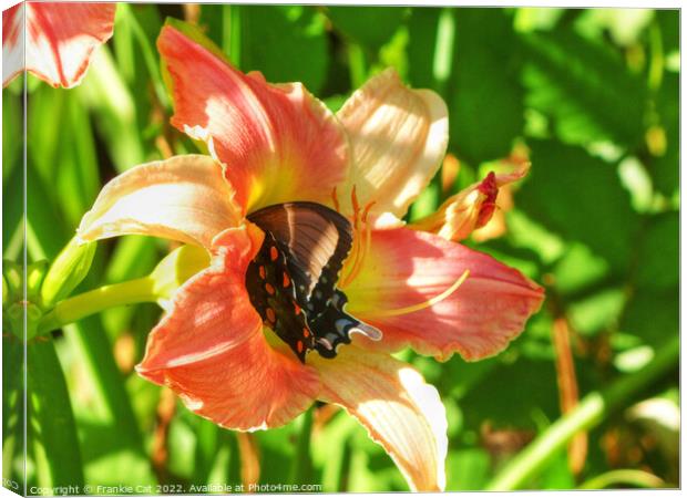 Spicebush Swallowtail in a Lily Canvas Print by Frankie Cat