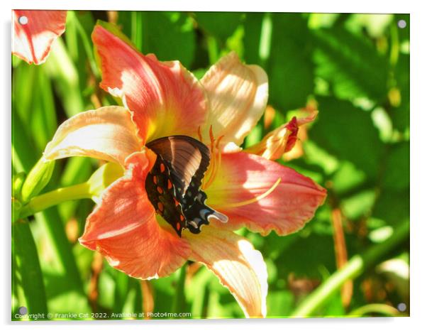 Spicebush Swallowtail in a Lily Acrylic by Frankie Cat