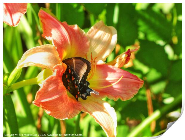 Spicebush Swallowtail in a Lily Print by Frankie Cat