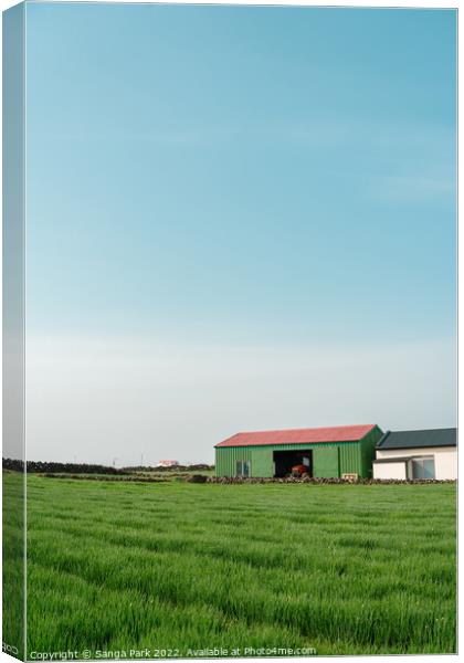 Rural green field farmland in Jeju island Canvas Print by Sanga Park