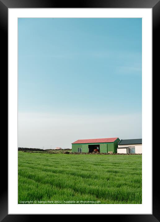 Rural green field farmland in Jeju island Framed Mounted Print by Sanga Park