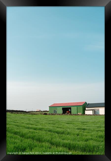 Rural green field farmland in Jeju island Framed Print by Sanga Park