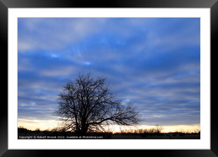 Tree with clouds at sunset  Framed Mounted Print by Robert Brozek