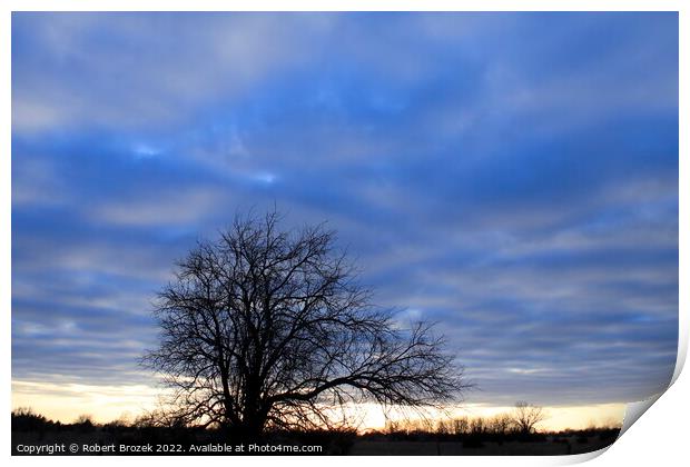 Tree with clouds at sunset  Print by Robert Brozek