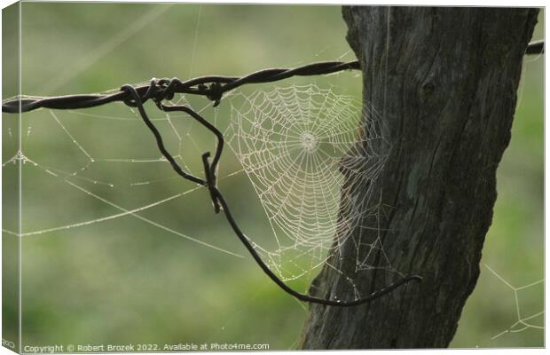 Cobweb on a fence post with a green background Canvas Print by Robert Brozek