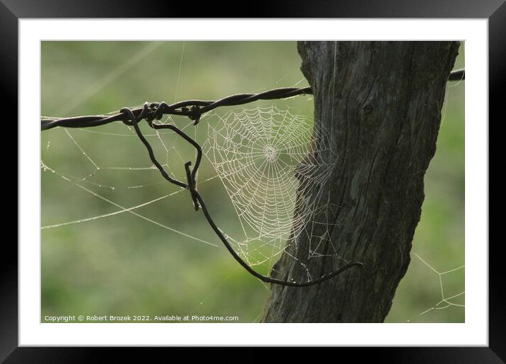 Cobweb on a fence post with a green background Framed Mounted Print by Robert Brozek