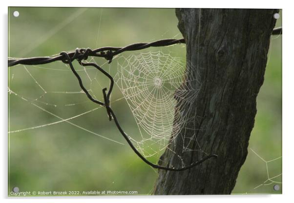 Cobweb on a fence post with a green background Acrylic by Robert Brozek