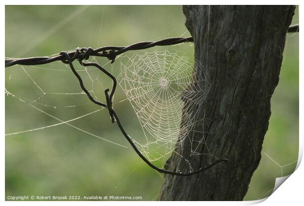 Cobweb on a fence post with a green background Print by Robert Brozek