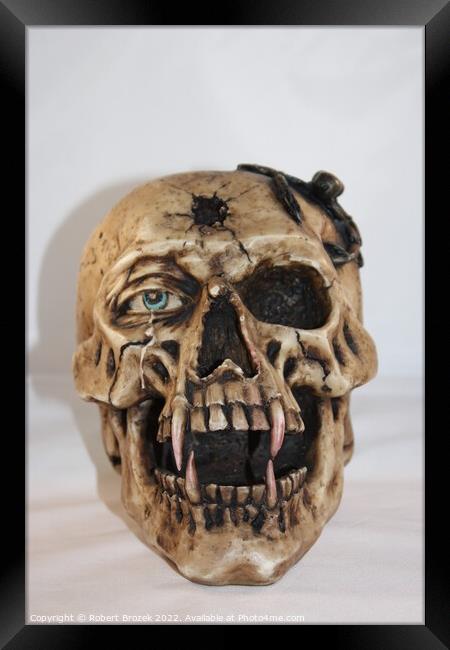 Skull with fangs and Scorpion shot closeup. Framed Print by Robert Brozek